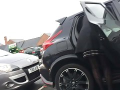 Bite noire avec des intentions blanc chatte