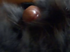 Publique sexe en groupe l'appartement.