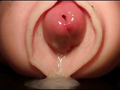 Jenna ross caresse les mains