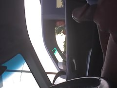 Une maison a décidé de jouer avec la chatte