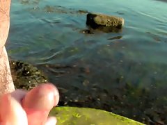 La jeune fille génisses de fauchage sous enquête