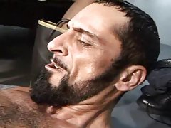 Un sexe sauvage avec deux des chiennes