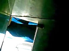 L'aventure d'un papillon de nuit