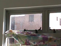 Ces créés pour le sexe