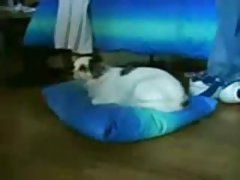 La petite balayé avec un mec et traité la maison