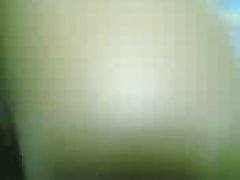 Succulent adele avec son nouvel ami