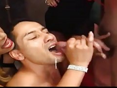 Le sexe dans les bois avec une superbe nymphe